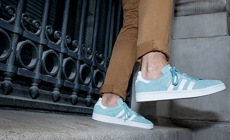 Trainers alert